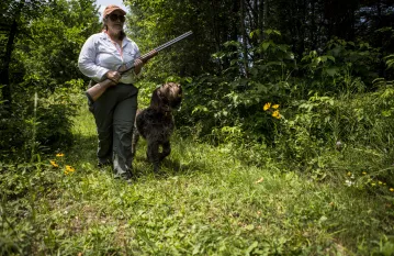 Hunting with the hound