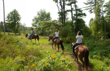 horseback riding